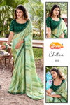 Chitra By Stavan Chiffon Embroidery Work Saree